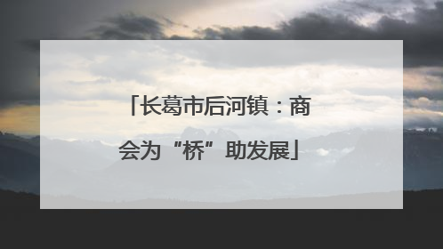 长葛市后河镇：商会为“桥”助发展