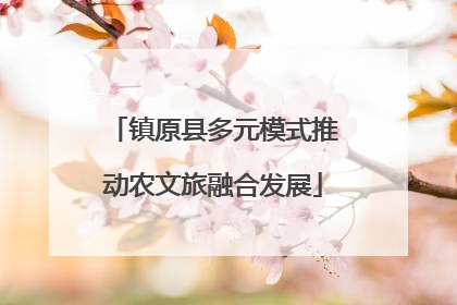镇原县多元模式推动农文旅融合发展