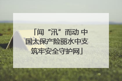 闻“汛”而动 中国太保产险丽水中支筑牢安全守护网