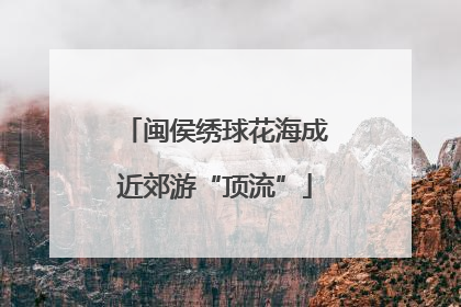 闽侯绣球花海成近郊游“顶流”