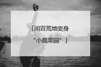 闲置荒地变身“小鹿菜园”