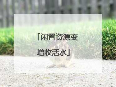闲置资源变增收活水