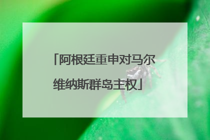阿根廷重申对马尔维纳斯群岛主权