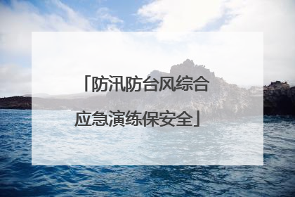 防汛防台风综合应急演练保安全