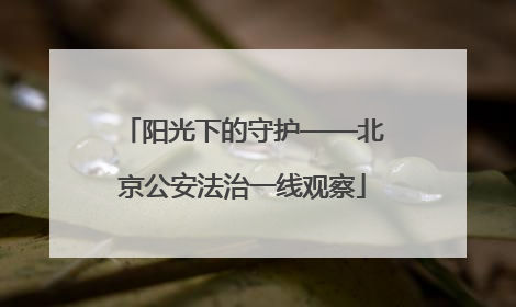 阳光下的守护——北京公安法治一线观察