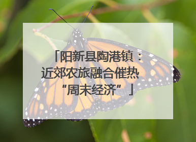 阳新县陶港镇：近郊农旅融合催热“周末经济”