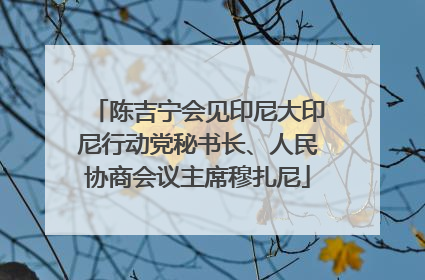 陈吉宁会见印尼大印尼行动党秘书长、人民协商会议主席穆扎尼