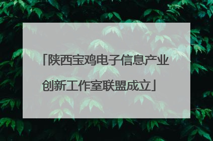 陕西宝鸡电子信息产业创新工作室联盟成立
