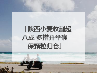 陕西小麦收割超八成 多措并举确保颗粒归仓