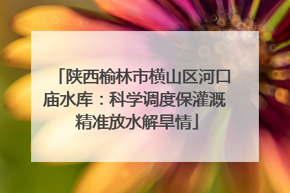 陕西榆林市横山区河口庙水库：科学调度保灌溉 精准放水解旱情