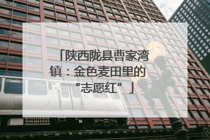 陕西陇县曹家湾镇：金色麦田里的“志愿红”