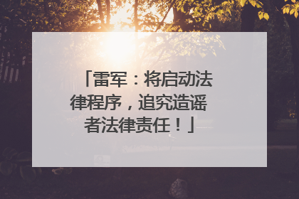 雷军：将启动法律程序，追究造谣者法律责任！
