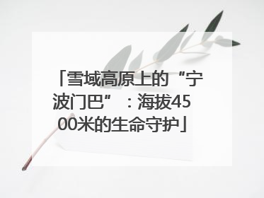 雪域高原上的“宁波门巴”：海拔4500米的生命守护