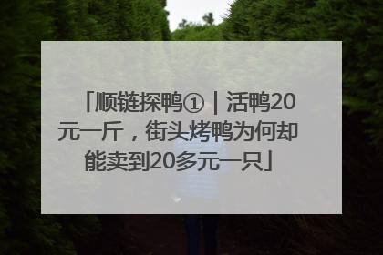 顺链探鸭①｜活鸭20元一斤，街头烤鸭为何却能卖到20多元一只