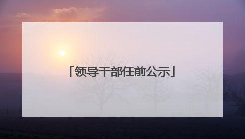 领导干部任前公示