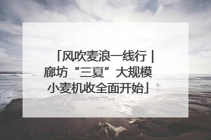 风吹麦浪一线行｜廊坊“三夏”大规模小麦机收全面开始
