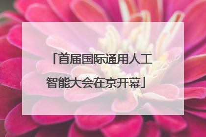 首届国际通用人工智能大会在京开幕