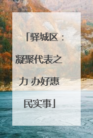 驿城区：凝聚代表之力 办好惠民实事