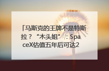 马斯克的王牌不是特斯拉？“木头姐”：SpaceX估值五年后可达2.5万亿美元！