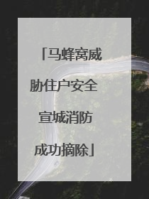 马蜂窝威胁住户安全 宣城消防成功摘除