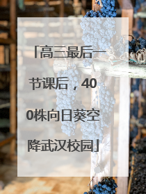 高三最后一节课后，400株向日葵空降武汉校园