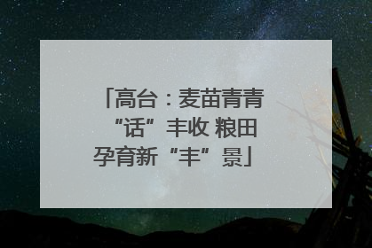高台：麦苗青青“话”丰收 粮田孕育新“丰”景