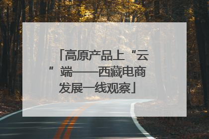 高原产品上“云”端——西藏电商发展一线观察