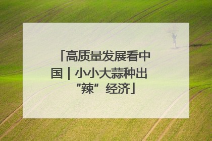 高质量发展看中国｜小小大蒜种出“辣”经济