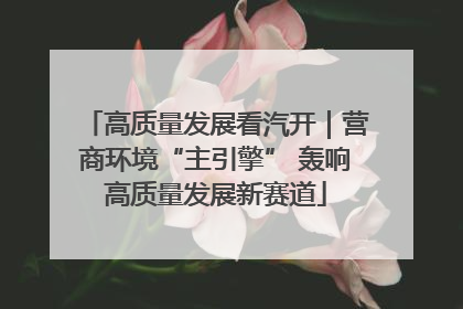 高质量发展看汽开｜营商环境“主引擎” 轰响高质量发展新赛道