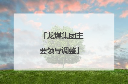 龙煤集团主要领导调整