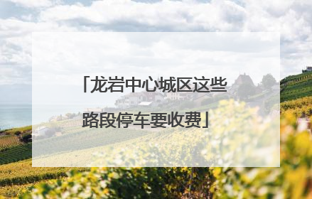 龙岩中心城区这些路段停车要收费