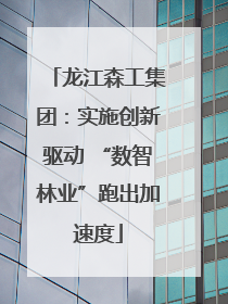 龙江森工集团：实施创新驱动 “数智林业”跑出加速度