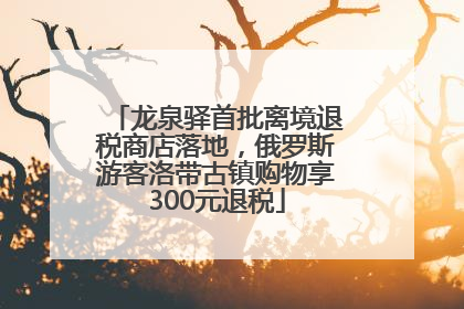龙泉驿首批离境退税商店落地，俄罗斯游客洛带古镇购物享300元退税