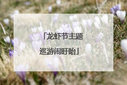 龙虾节主题巡游闹盱眙