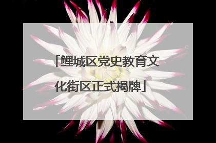 鲤城区党史教育文化街区正式揭牌