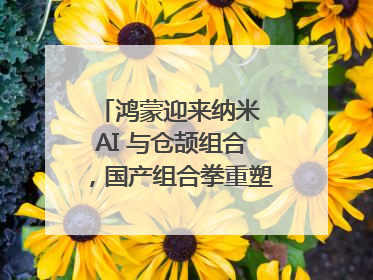 鸿蒙迎来纳米 AI 与仓颉组合，国产组合拳重塑AI搜索体验｜新经济观察