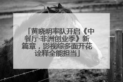 黄晓明率队开启《中餐厅·非洲创业季》新篇章，影视综多面开花诠释全能担当