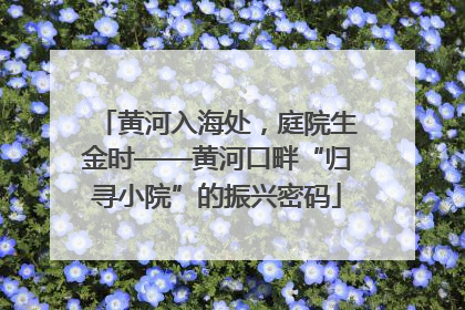 黄河入海处，庭院生金时——黄河口畔“归寻小院”的振兴密码