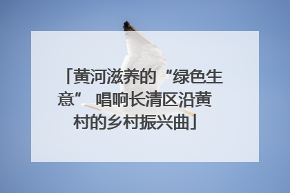 黄河滋养的“绿色生意” 唱响长清区沿黄村的乡村振兴曲