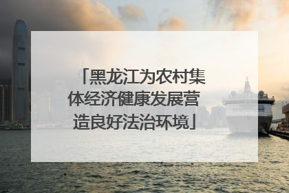 黑龙江为农村集体经济健康发展营造良好法治环境