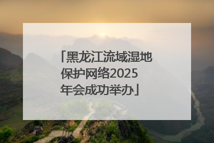 黑龙江流域湿地保护网络2025年会成功举办