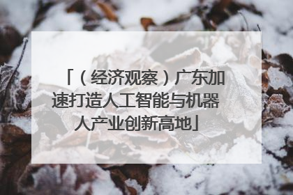 （经济观察）广东加速打造人工智能与机器人产业创新高地