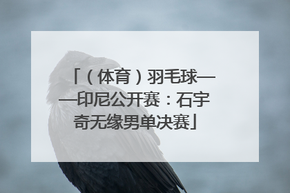 （体育）羽毛球——印尼公开赛：石宇奇无缘男单决赛