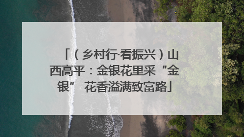 （乡村行·看振兴）山西高平：金银花里采“金银” 花香溢满致富路