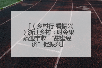 （乡村行·看振兴）浙江乡村：时令果蔬迎丰收 “甜蜜经济”促振兴
