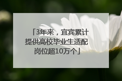 3年来，宜宾累计提供高校毕业生适配岗位超10万个