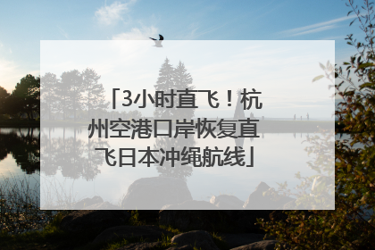 3小时直飞！杭州空港口岸恢复直飞日本冲绳航线