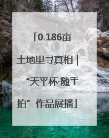 0.186亩土地里寻真相｜“天平杯·随手拍”作品展播