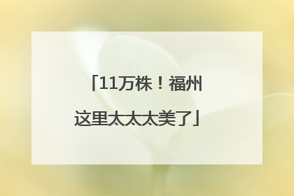 11万株！福州这里太太太美了