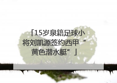 15岁泉籍足球小将刘凯源签约西甲“黄色潜水艇”
